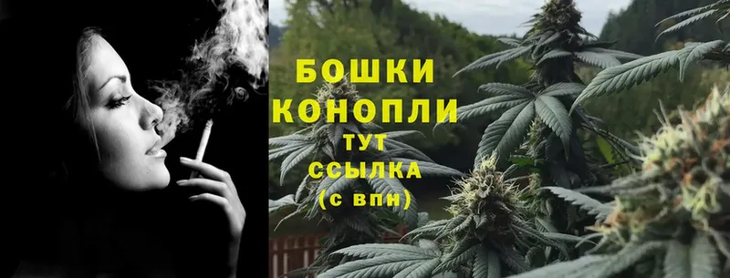 Бошки Шишки White Widow  Кисловодск 